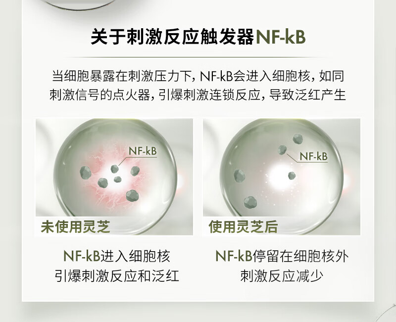 悦木之源（Origins）菌菇水200ml灵芝精华爽肤水护肤化妆品套装补水保湿生日礼物女友