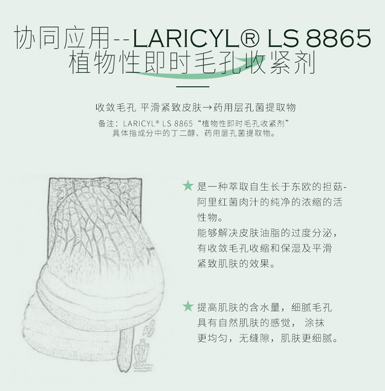 善草纪 茶树三部曲面膜 清洁控油收敛毛孔补水保湿涂抹泥膜积雪草男女 茶树三部曲20片