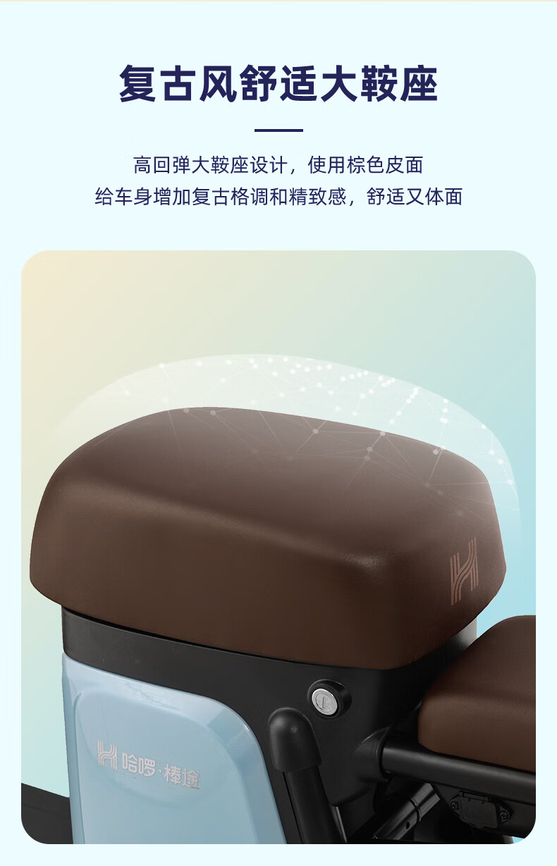 电动车锂电池_棒途哈啰 QQ 新国标锂电电动车 棒途TDT-172Z