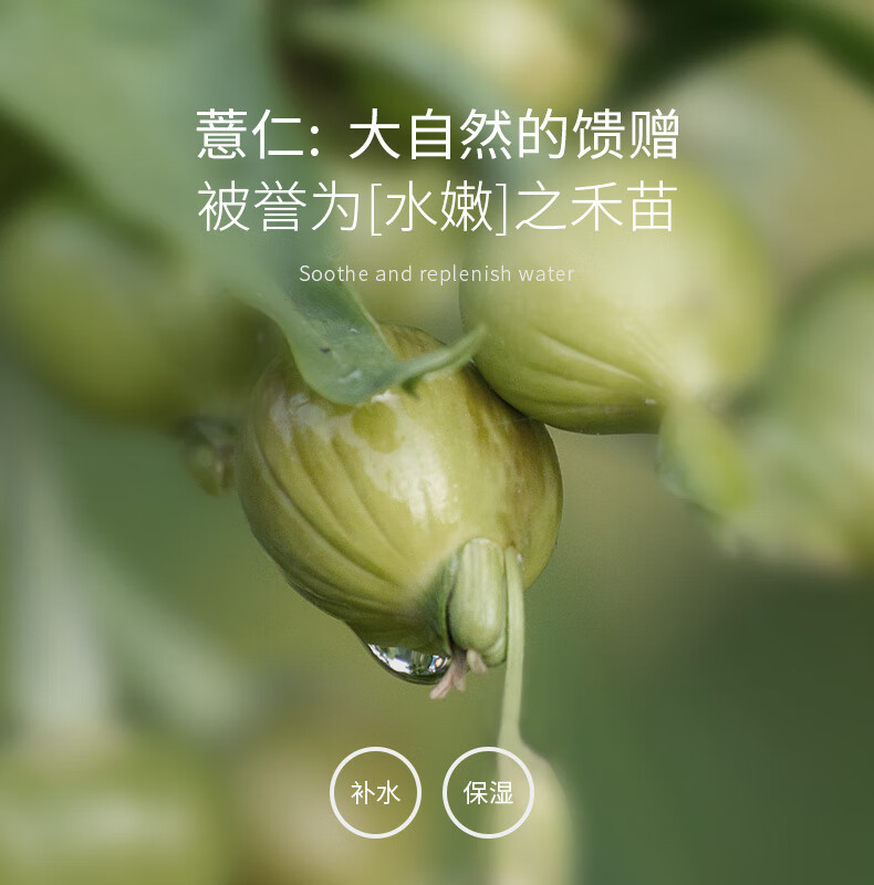 圣雪兰薏仁水 孕妇哺乳期可用湿敷爽肤化妆水 保湿补水收毛孔 500ml