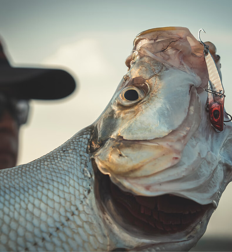 Комплект блесен Guowangliuya Metal VIB Lure Set, искусственная приманка для пресноводной рыбалки, 7.5 г, набор S2