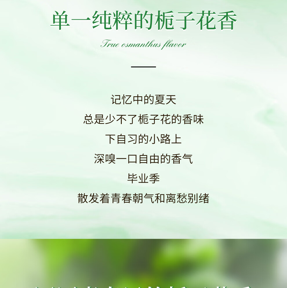 娜赛儿（LASTAR）法国香水纯粹栀子花香女士淡香礼盒持久清新生日礼物送女友