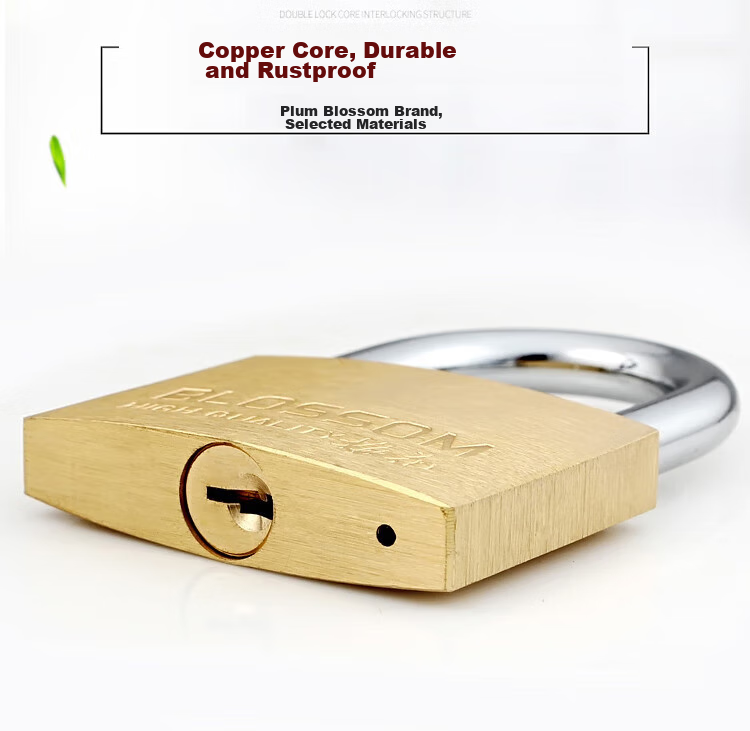 Замок BLOSSOM Copper Padlock, водонепроницаемый и устойчивый к ржавчине, для дома, общежития, шкафов и дверей, антивандальный оконный замок, 55 мм (076)