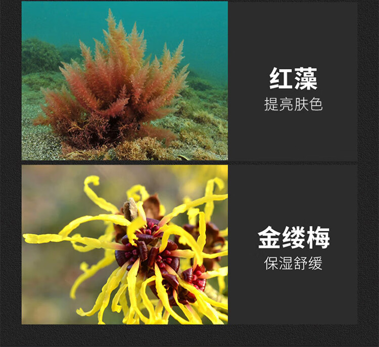 人仁和匠心氨基酸洗面奶男女士控油抗痘去黑头植物复合净颜洁面乳150ml