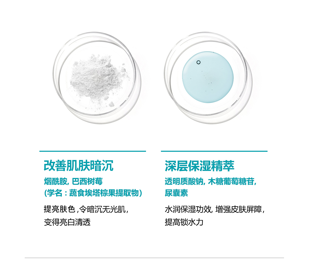 美迪惠尔（Mediheal）WHP焕白保湿黑炭面膜10片/盒 补水细致毛孔 韩国进口情人节礼物