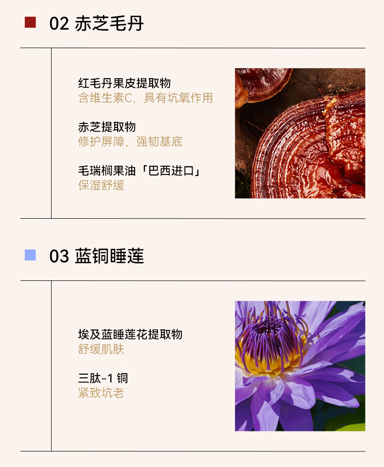 舞动奇迹变色唇膏保湿滋养修护淡化唇纹不沾杯不掉色口红护唇润唇女 02赤芝毛丹