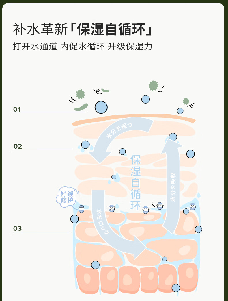 Bb LABORATORIES 苾莱宝新一代复活草面膜175g 高倍补水修护 敏感肌可用 送女生