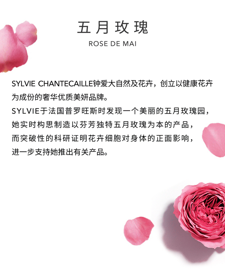 CHANTECAILLE 香缇卡 未来肌肤气垫粉底Alabaster色修护气垫粉底12g 遮瑕保湿