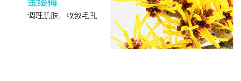 ACWELL艾珂薇n4面霜2瓶装敏感肌舒缓保湿套装（50ml*2+10ml*10）
