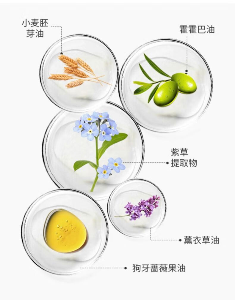 枫缇（Ble de Fonty） 新加坡枫缇紧肤莹润胸部护理胶囊精华15粒/盒 胸部护理精华