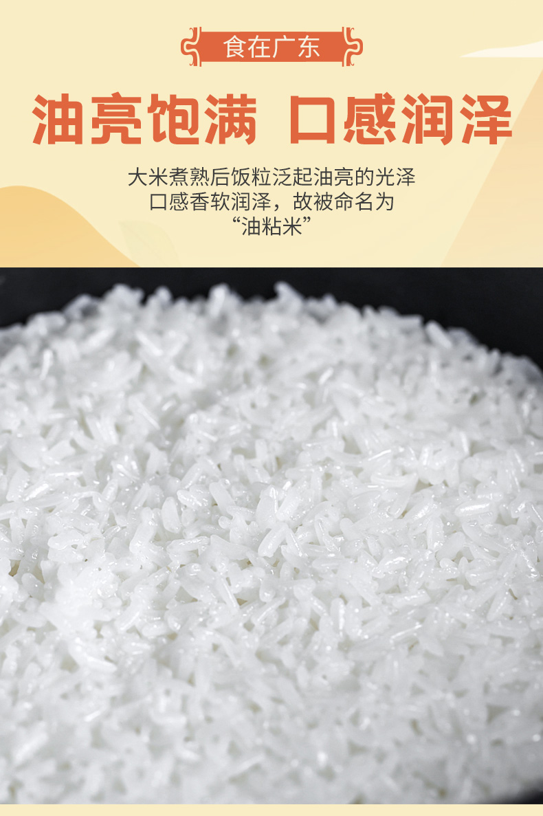 太粮荟京选岭南油粘米籼米大米5kg