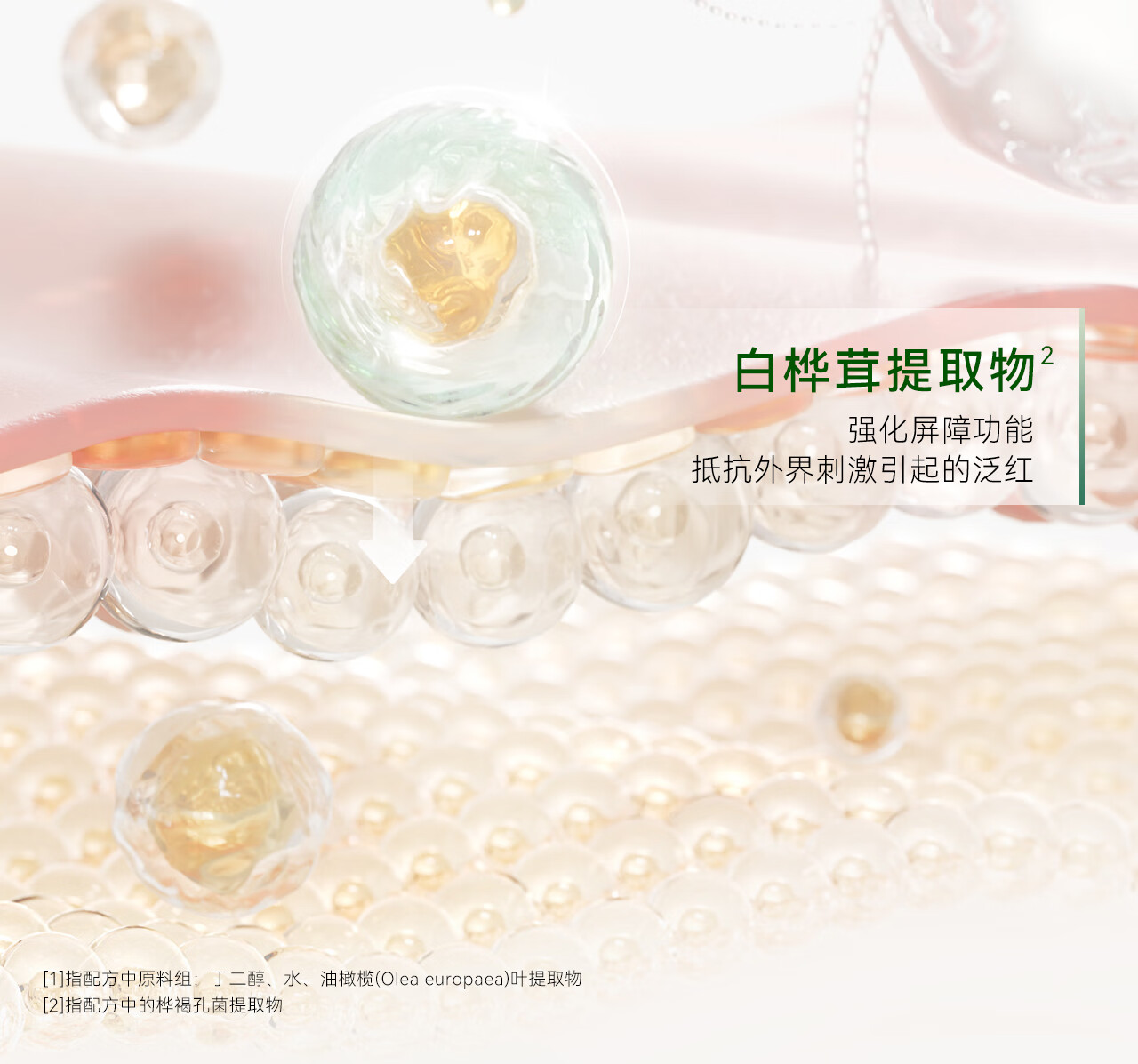 安修泽油橄榄精华水150ml 补水保湿干皮油皮女护肤精华爽肤水