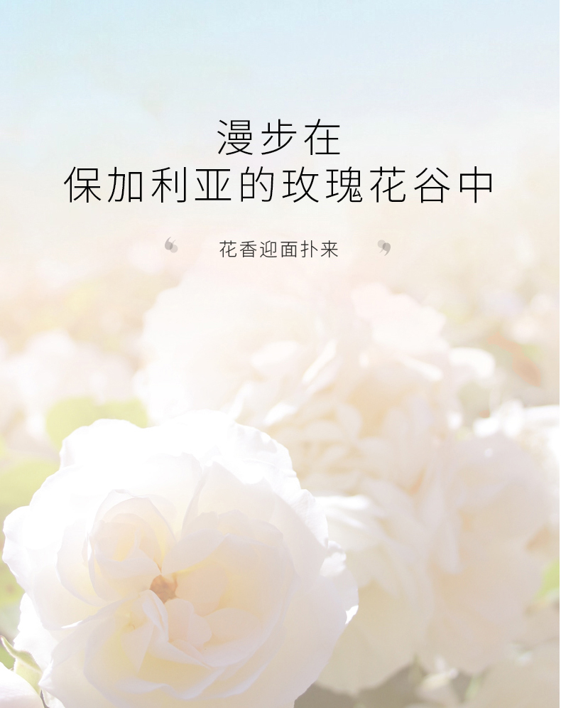 PMPM 水乳套装玫瑰红茶水乳套装化妆品套装干皮精华面霜滋养敏感肌 玫瑰水100ml+乳100ml套装