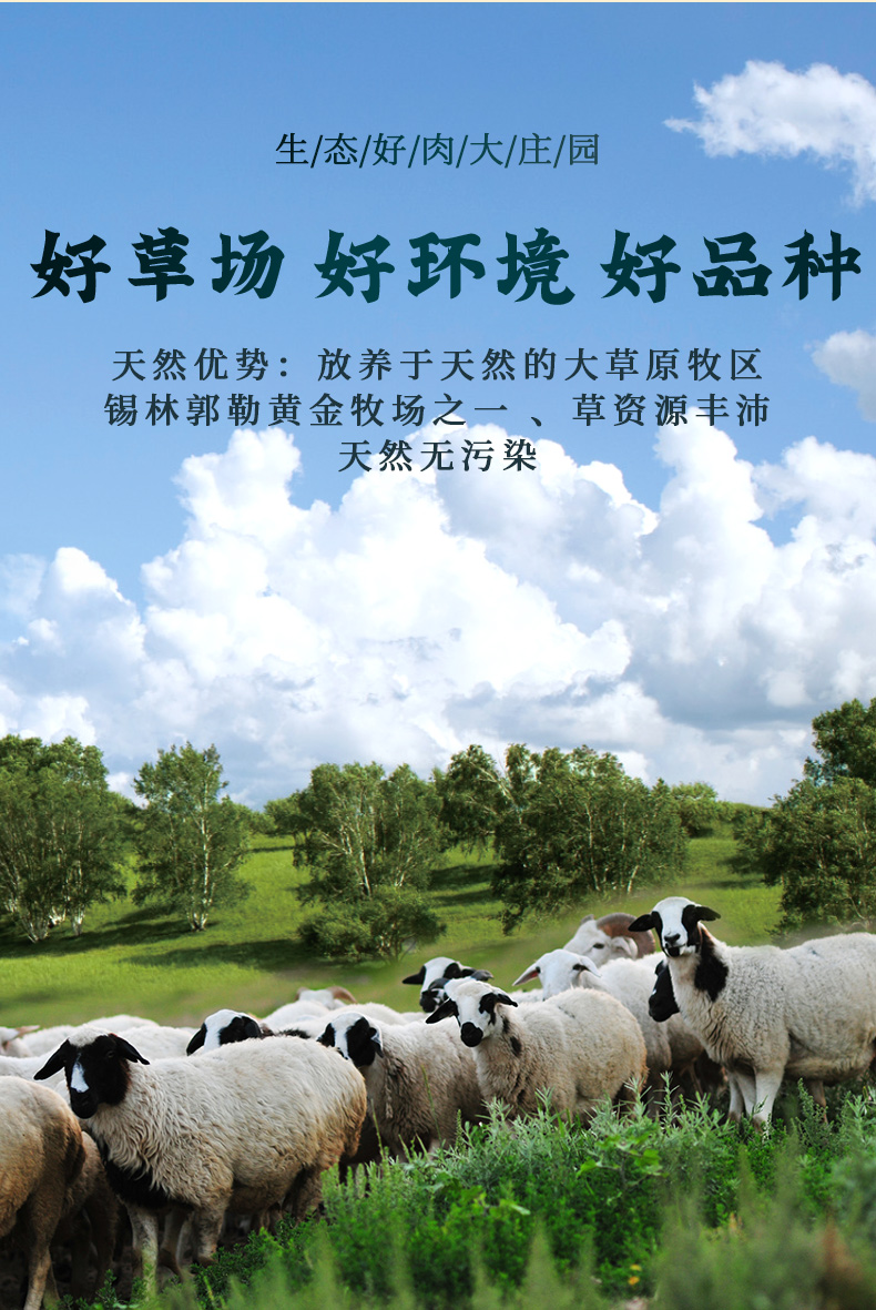 大庄园  锡盟羊杂600g（200g*3）羔羊肉羊肺、羊肚、羊头肉、羊肠、羊心