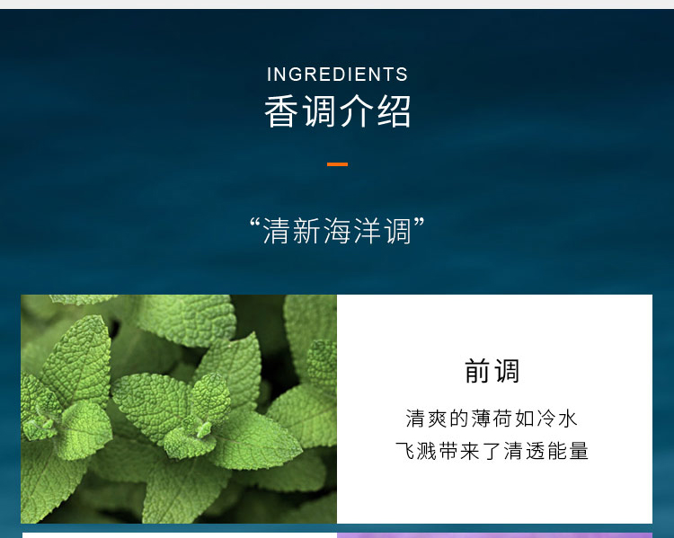 大卫杜夫（Davidoff）冷水神秘水男士淡香水 75ml 生日礼物送男友清新海洋调