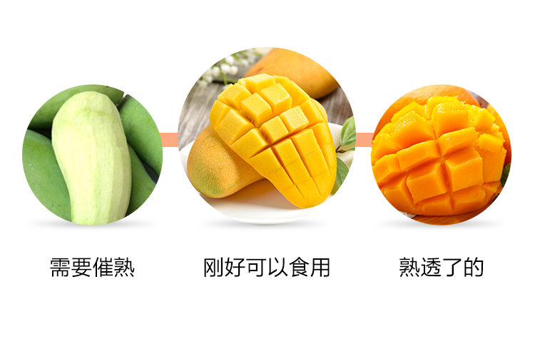 惠寻 3斤金煌芒 单果150-300g 当季新鲜水果 芒果生鲜