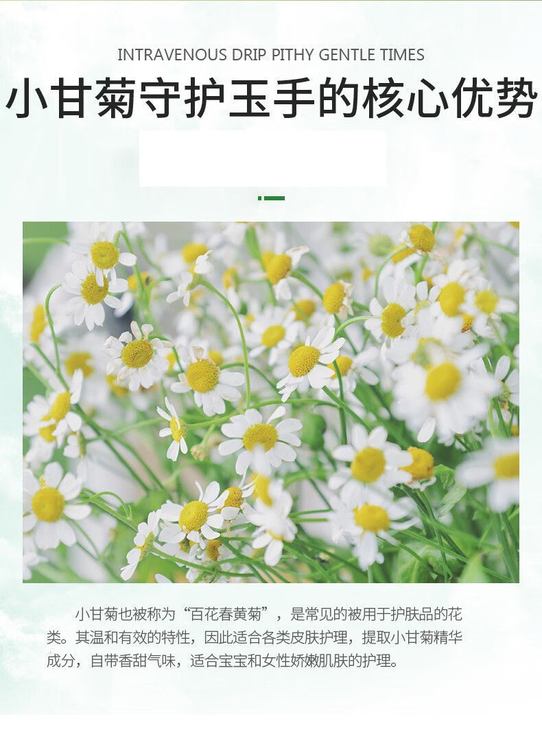 BAINHR洋甘菊护手霜女大瓶按压式防手部粗糙干燥倒刺手裂滋润男女500g