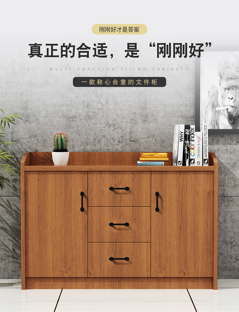 圣黎办公家具茶水柜财务柜办公室资料柜档案柜 二门(柚木色)