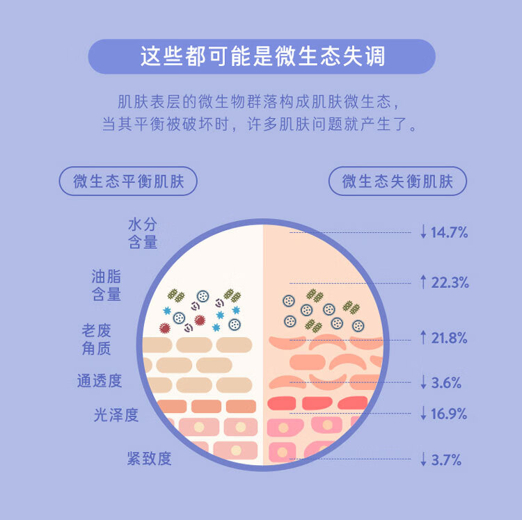 兰芝益生修护睡眠面膜70ml 免洗涂抹式夜间睡眠面膜保湿补水 熬夜修护