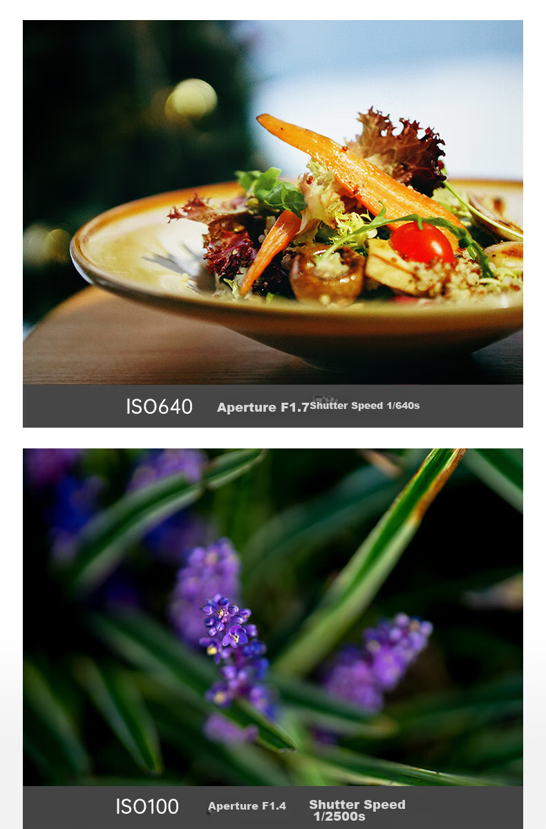Объектив SIGMA 56mm F1.4 DC DN Contemporary для беззеркальных камер Sony E-mount APS-C, диаметр 55 мм