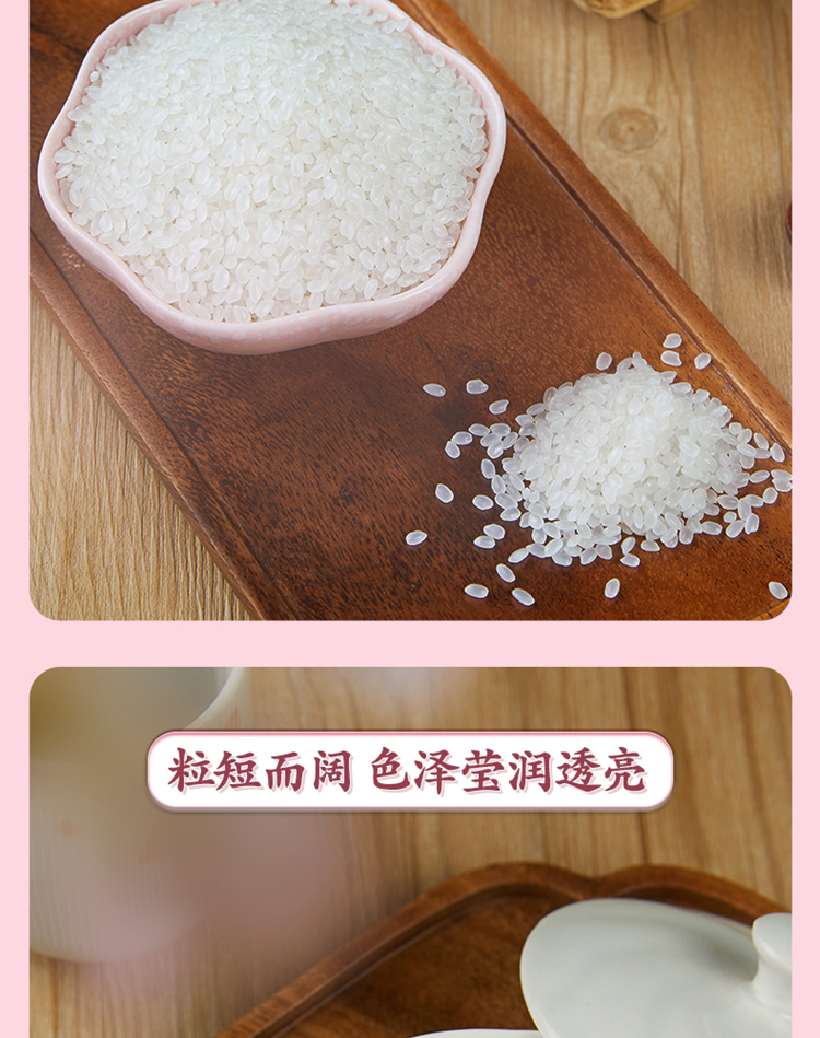 十月稻田 香稻贡米 东北大米 5kg 香米 粳米 十斤