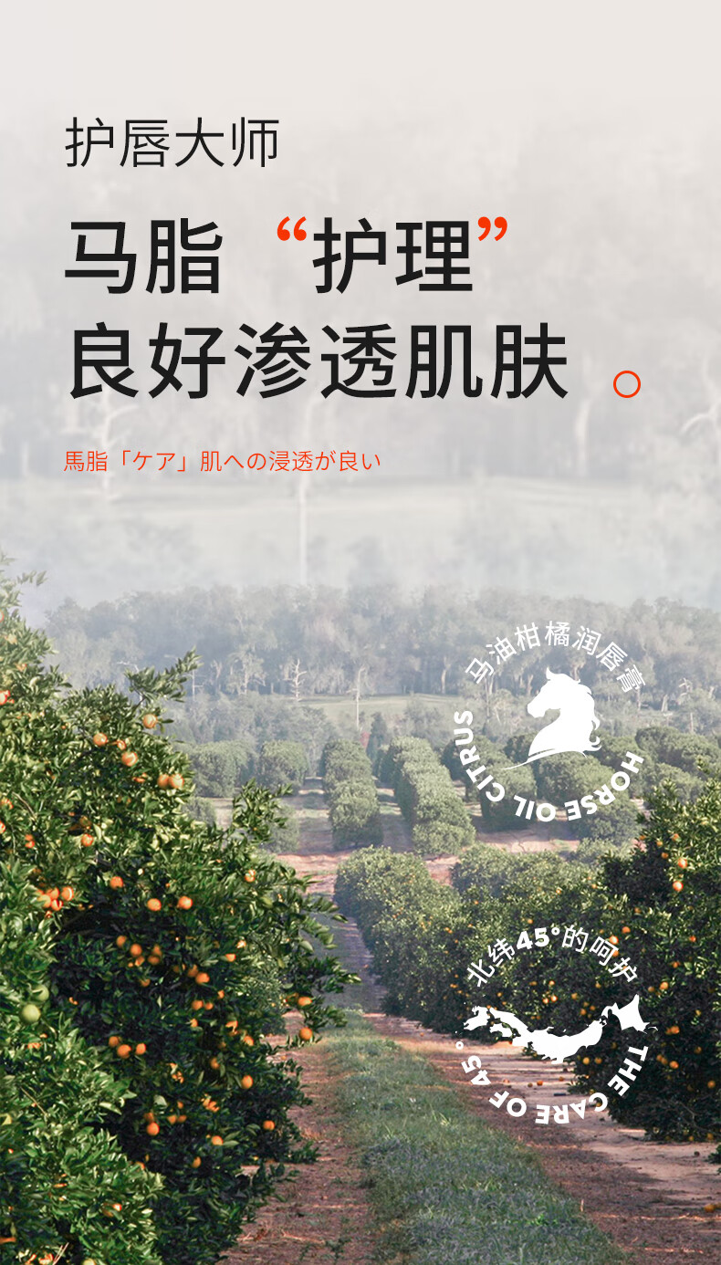 韩泊莉绵羊油角鲨烷马油柑橘润唇膏淡化唇纹唇膏唇部精华保湿滋润防干裂 马油柑橘味润唇膏
