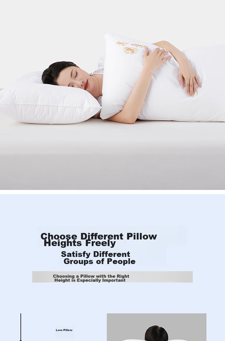 Подушка BEYOND Home Textile, 48*74 см, набор из 2 штук, с вышивкой, средняя, хлопок, полиэстер