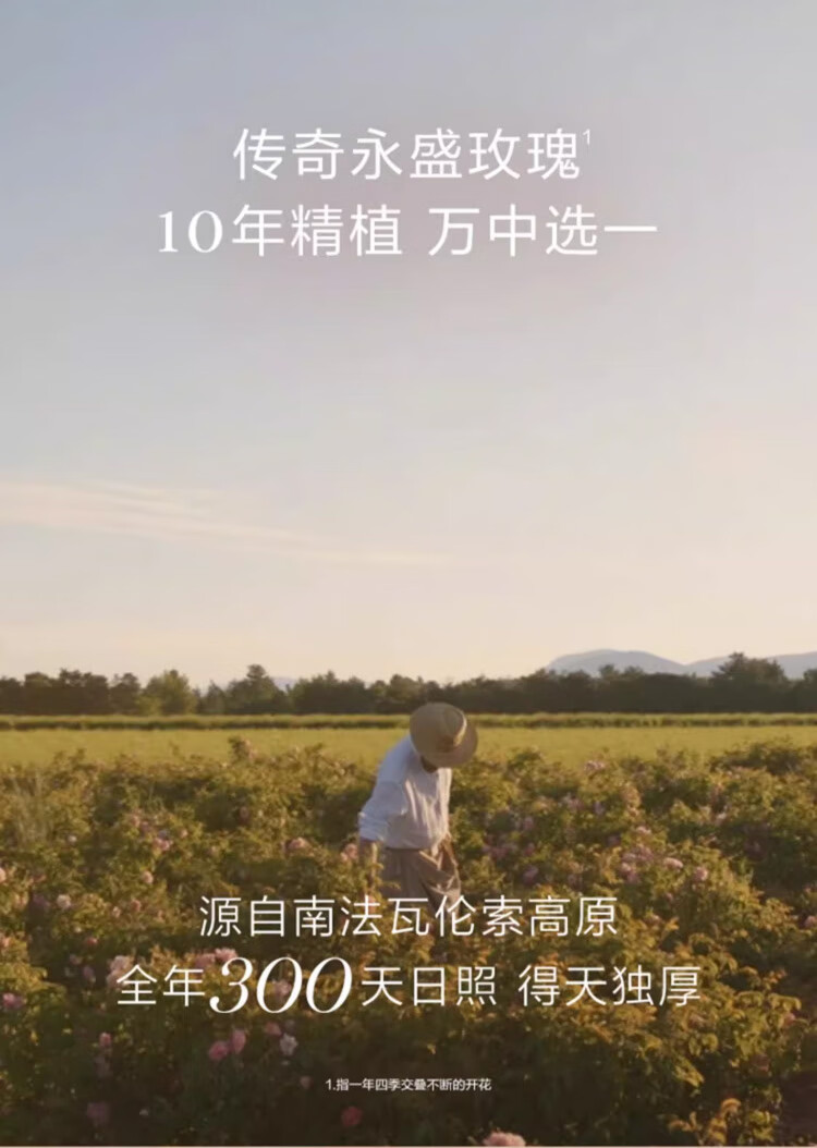 兰蔻（LANCOME）菁纯眼霜5ml 淡纹抗皱滋润紧致