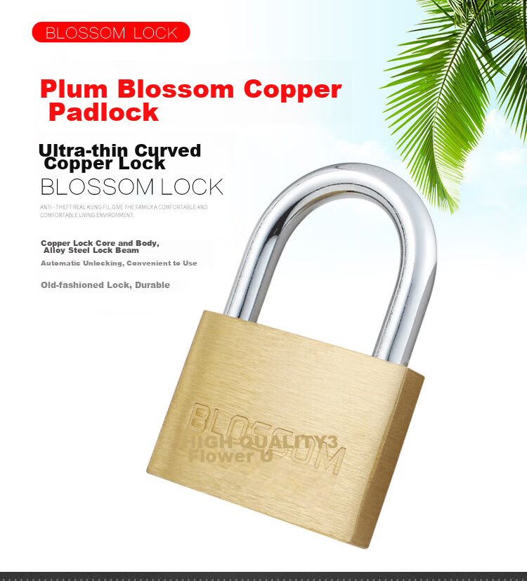 Замок BLOSSOM Copper Padlock, водонепроницаемый и устойчивый к ржавчине, для дома, общежития, шкафов и дверей, антивандальный оконный замок, 55 мм (076)