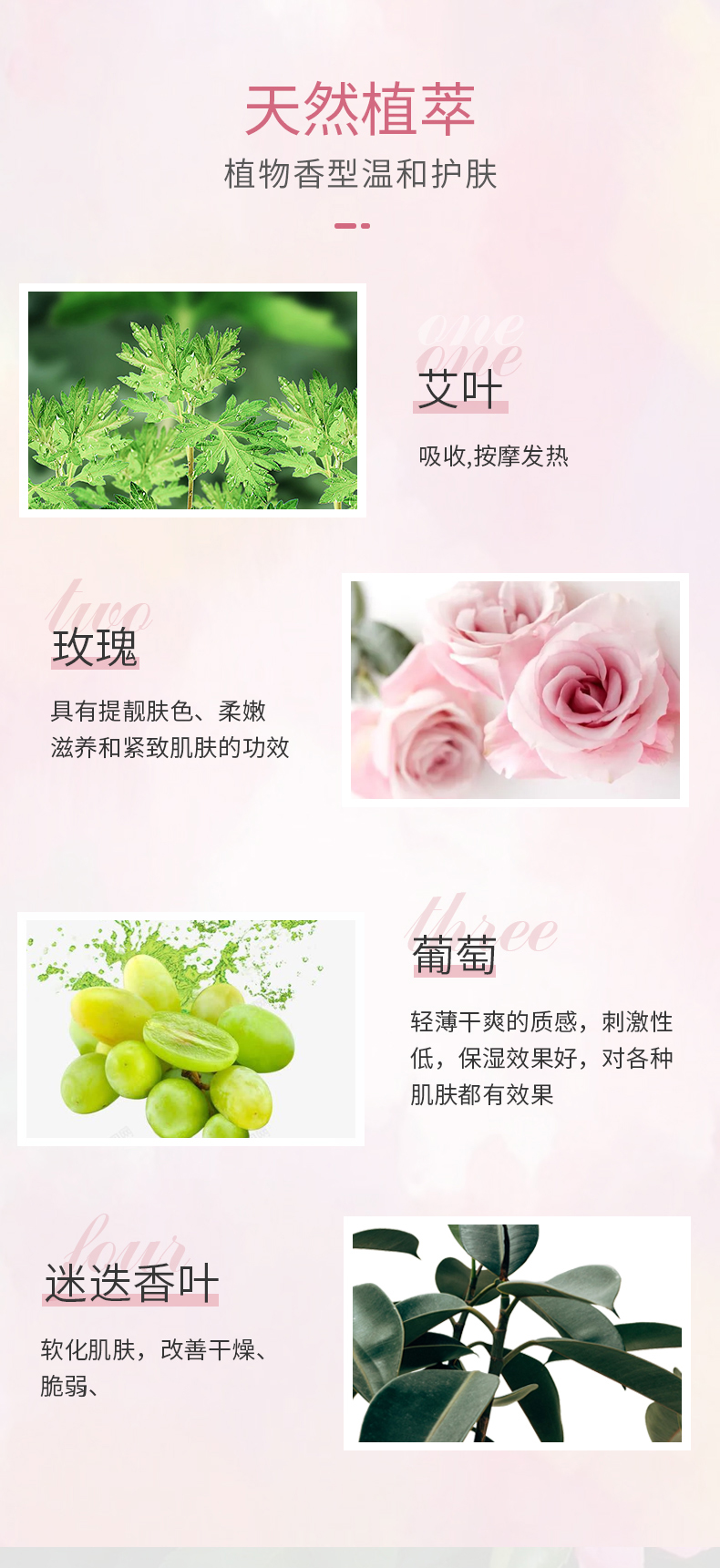OLORISA 玫瑰按摩精油500ml 植物舒缓按摩刮痧spa全身通用推拿油情侣