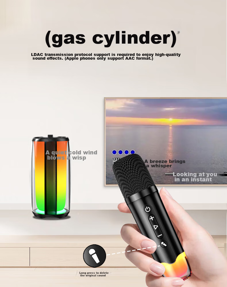Портативная Bluetooth-колонка Newmine K19 с микрофоном, караоке-система со встроенной звуковой картой и отображением текста песен, портативная домашняя и уличная караоке-машина для КТВ, с двумя микрофонами