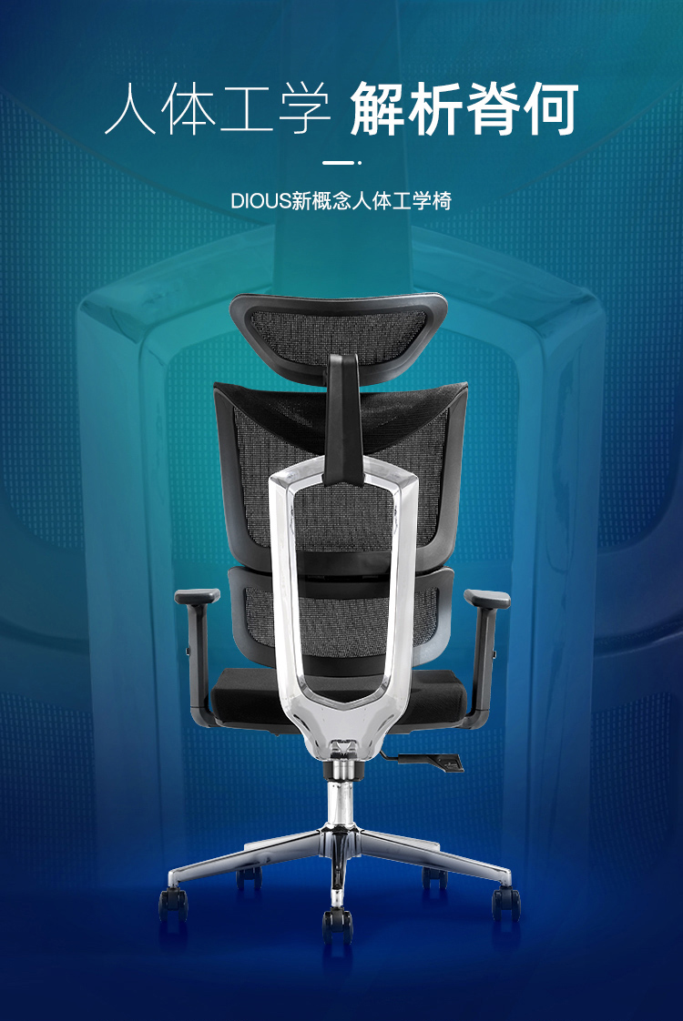 迪欧（DIOUS）人体工学办公椅 独立腰托 多段调节靠背椅 电脑椅 职员椅 DX6913B网面椅