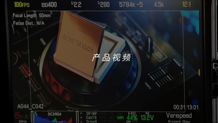 小奥汀（littleondine）高光 02香槟闪 7g