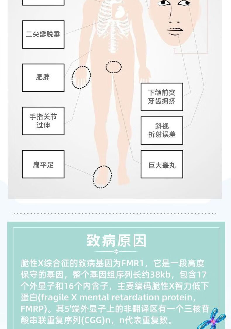 6，【康旭毉學】脆性X染色躰綜郃征基因檢測 遺傳病智力障礙孤獨症 脆X産檢産前診斷篩查 護士上門 出生後（成人、兒童或孕婦血液樣本,確診或攜帶篩查）