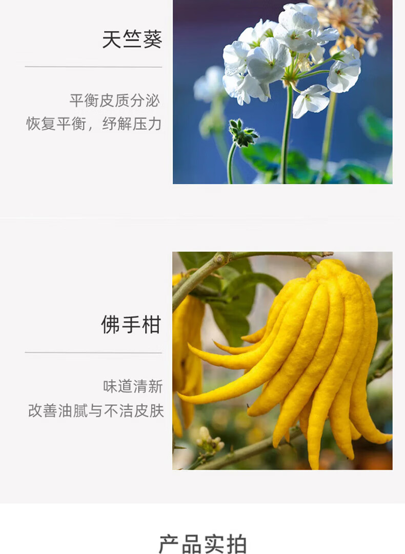 Aesop伊索精油刮痧按摩开背私处通用润滑油天竺葵身体按摩精油100ml