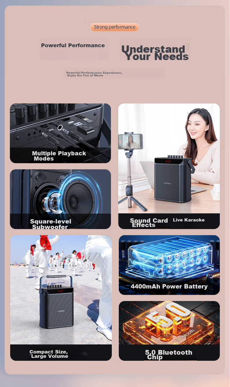 Портативная колонка SANSUI E76, 25 Вт, Bluetooth 5.0, с двумя беспроводными микрофонами, для караоке, вечеринок и выступлений