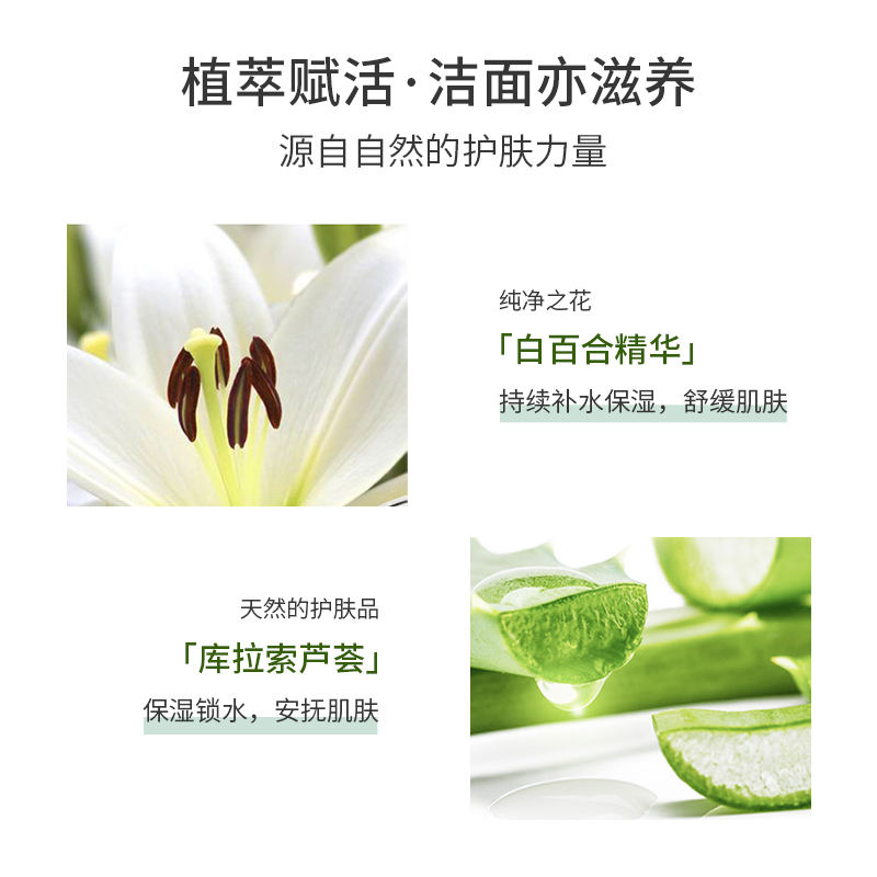 泊美（PURE & MILD）植物菁盈粹温和滋润洗面奶120g(提升弹性深层清洁)送女生
