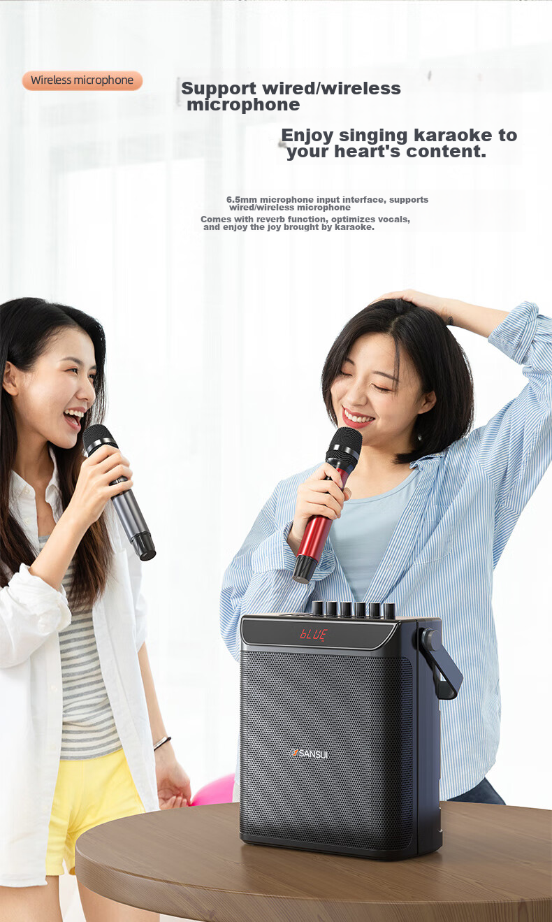 Портативная колонка SANSUI E76, 25 Вт, Bluetooth 5.0, с двумя беспроводными микрофонами, для караоке, вечеринок и выступлений