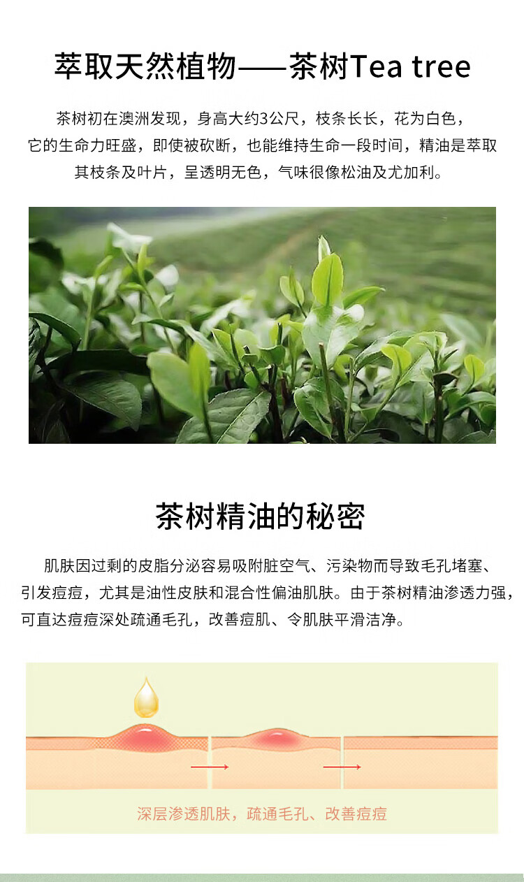 AA网（AA SKINCARE）茶树精油10ml（按摩精油 淡化痘印 调理痘肌 疏通毛孔 水油平衡）