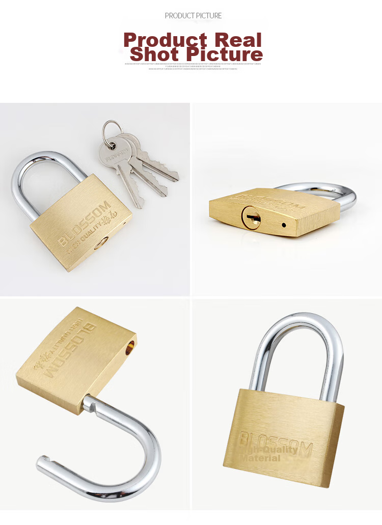 Замок BLOSSOM Copper Padlock, водонепроницаемый и устойчивый к ржавчине, для дома, общежития, шкафов и дверей, антивандальный оконный замок, 55 мм (076)