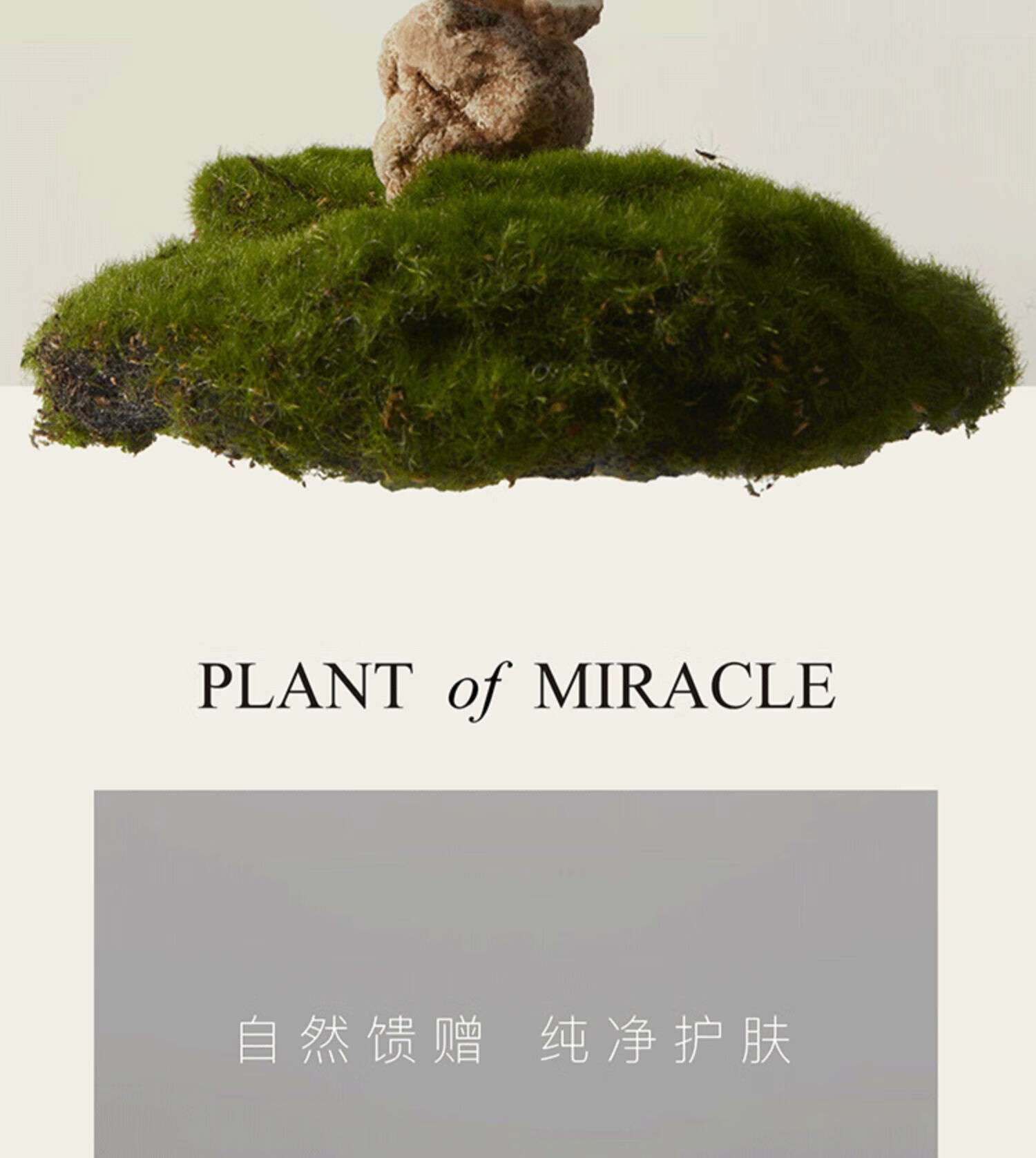 阿芙（AFU）纯净护肤黑松露水光焕颜水嫩盈透面膜保湿滋润 黑松露面膜2盒20片