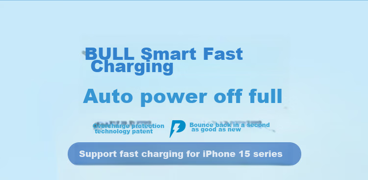 Сетевое зарядное устройство BULL PD20W GNV-AF120 для Apple iPhone 15/14/13/12/11/X/8, быстрая зарядка 20 Вт, черный