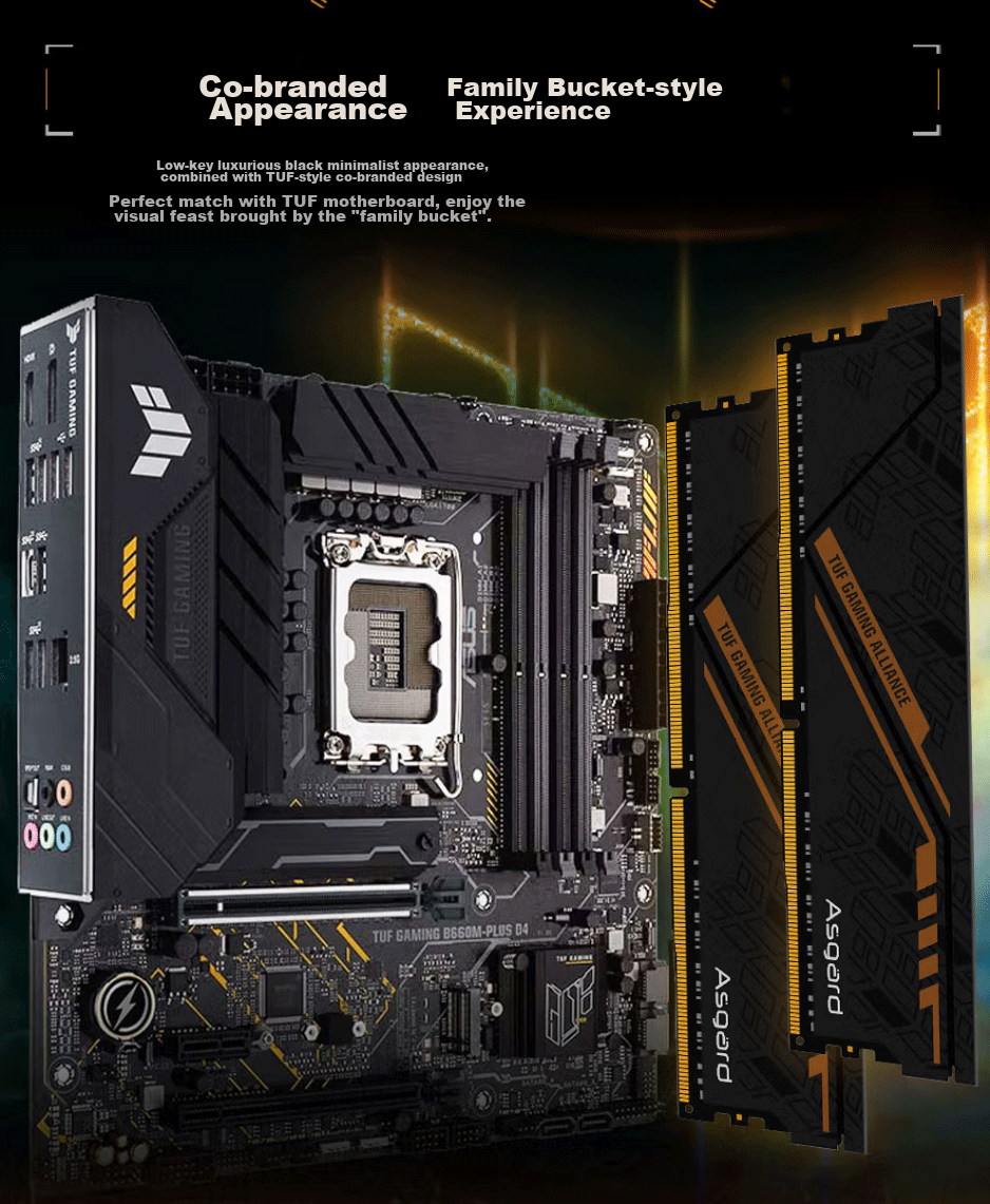 Оперативная память Asgard Jinlun Jia & TUF Co-Branded Edition, 16 ГБ (2x8 ГБ) DDR4 3200 МГц, CL18, с радиатором, черный/оранжевый