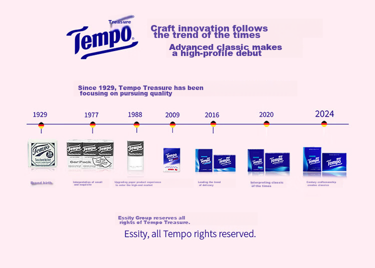 Бумажные платочки TEMPO