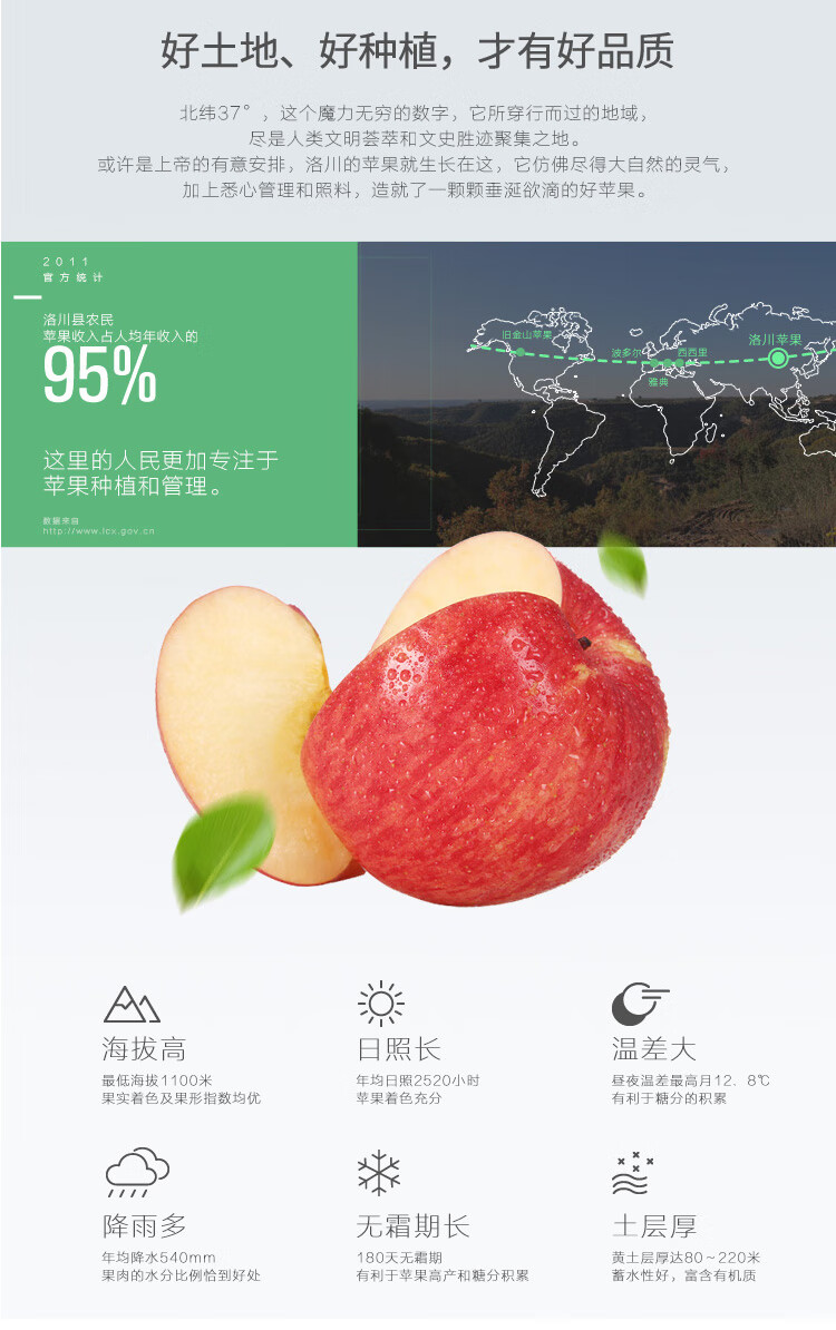 京鲜生 陕西洛川苹果红富士12粒单果180-220g 生鲜 新鲜水果
