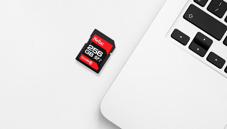 Карта памяти Netac 256GB SD U1 C10, скорость чтения до 90 МБ/с, для фото- и видеосъемки в Full HD, для цифровых камер и видеокамер