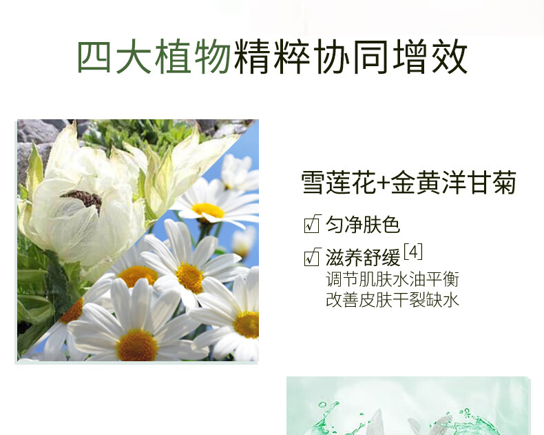 韩后茶蕊沁润保湿喷雾120ml 女士爽肤水补水保湿舒缓悦肤定妆湿敷