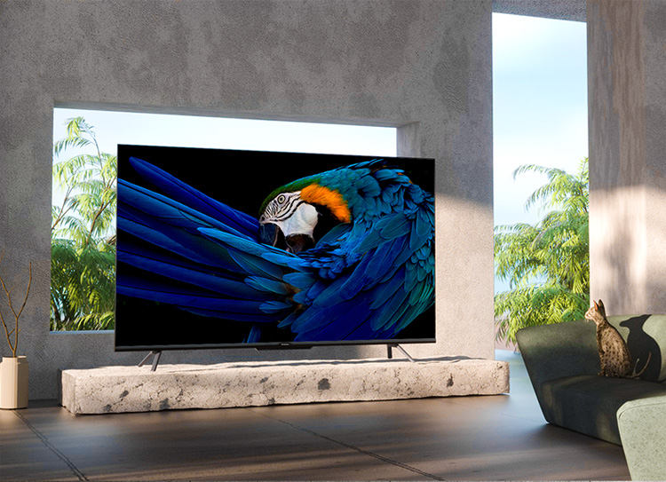 创维电视65A5 Pro 65吋超薄智慧屏 4K全面屏 护眼防蓝光无网投屏远场语音电视机2+32G