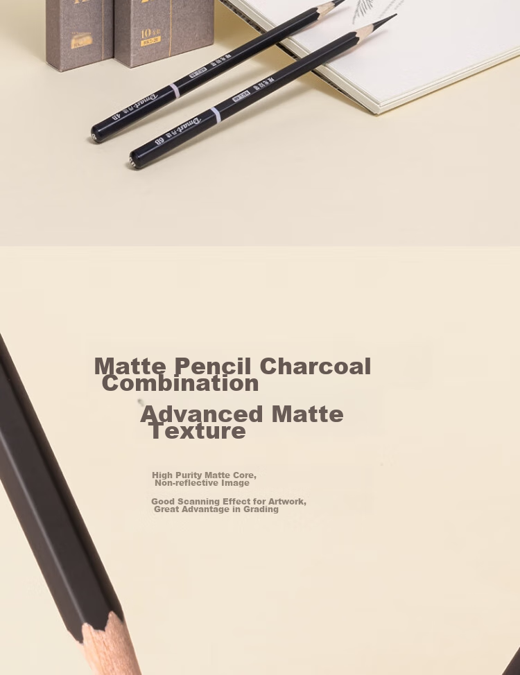 Карандаши Deli Matte 8B, 10 шт. в коробке, профессиональные для рисования, эскизов, раскрашивания, мягкая версия, RK2-8B