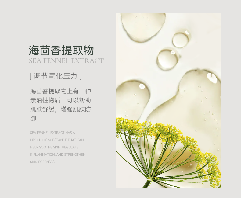 AOEO山茶花洗面奶水乳护肤套装（洁面100g+水100ml+乳80g）保湿抗皱
